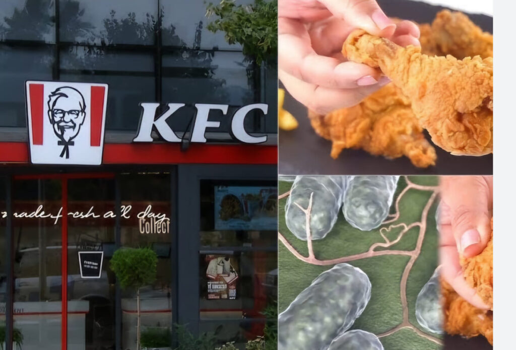 Dyqanet “KFC” në Shqipëri kanë shitur mish pule të infektuar me salmonelë. Jeta e konsumatorëve në rrezik