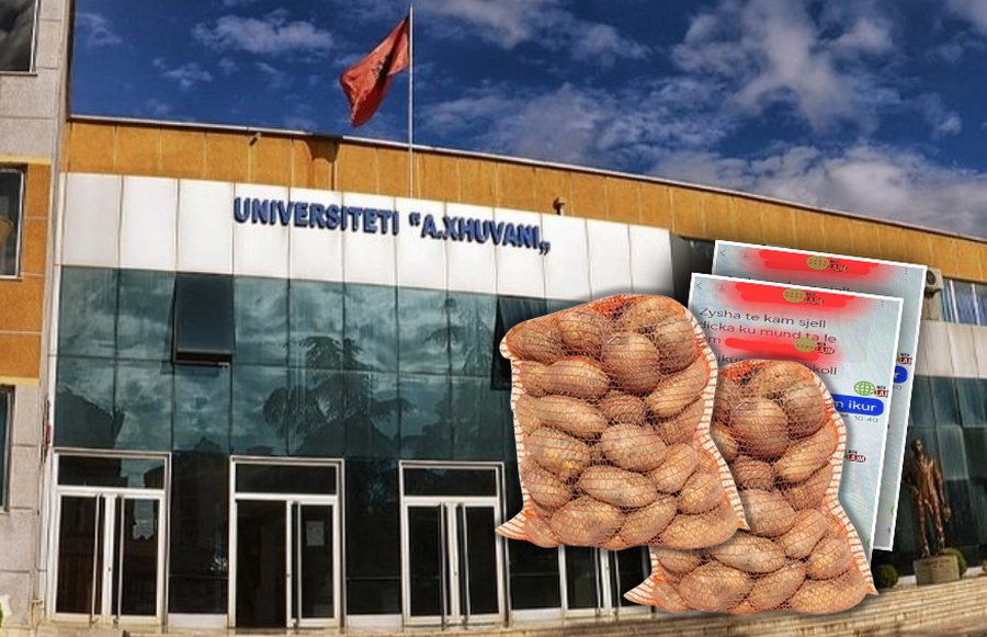 Zbardhen bisedat në telefonin e pedagoges së arrestuar në Elbasan, jo vetëm para… studentët e “joshin” edhe me patate