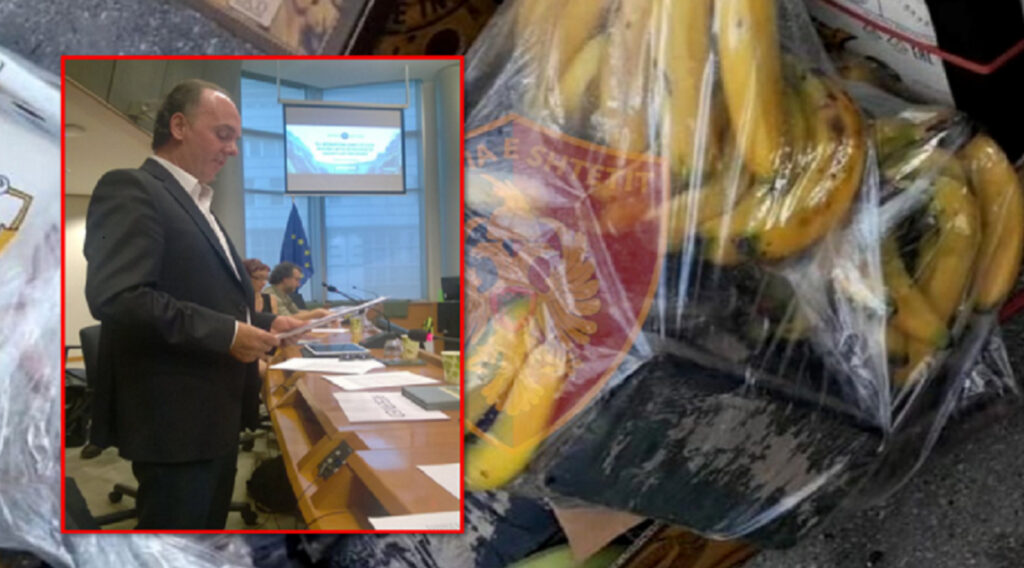Kokaina nën lëkurët e lopëve dhe kokaina nën lëkurët e bananeve “Bana King” të Trifon Muratajt